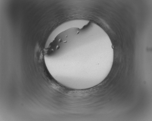 X0000068820025200606021628
