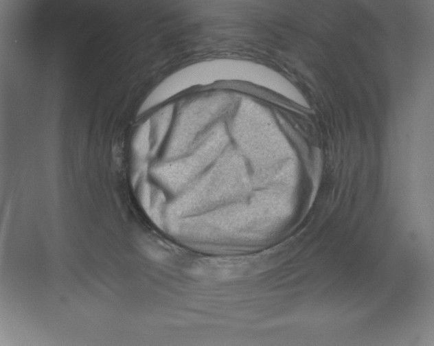 X0000068820033200606021628