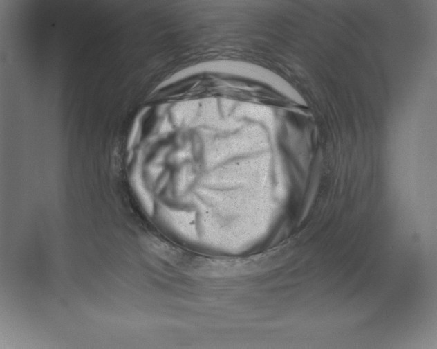 X0000068820037200606021628