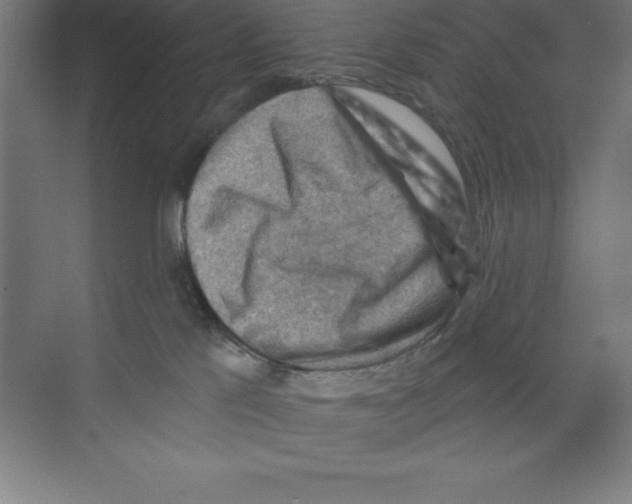 X0000068820041200606021628