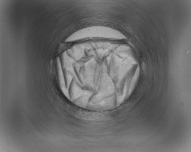 X0000068820044200606021628