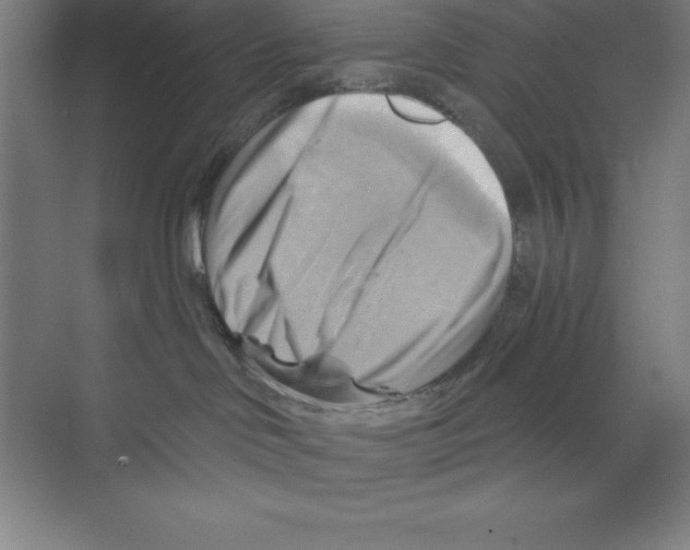 X0000068820046200606021628