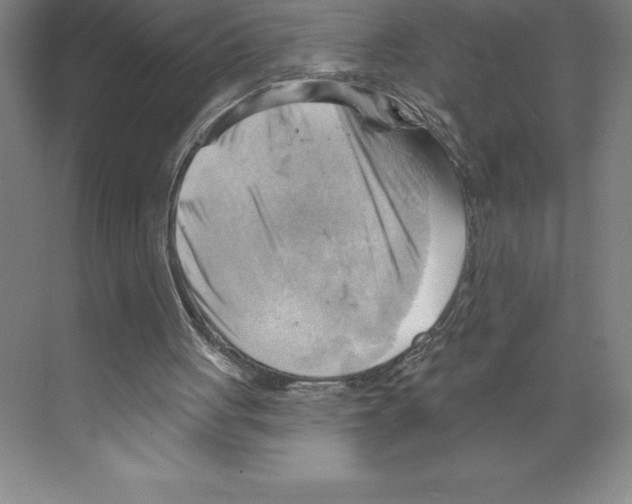 X0000068820051200606021627