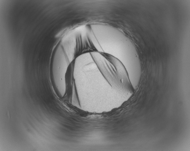 X0000068820052200606021627