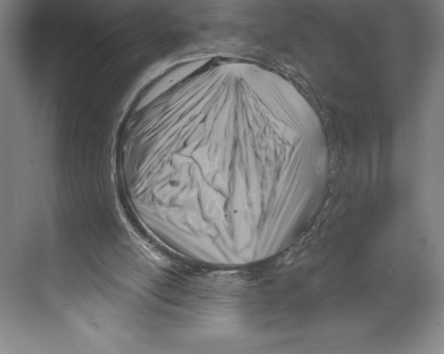 X0000068820054200606021627