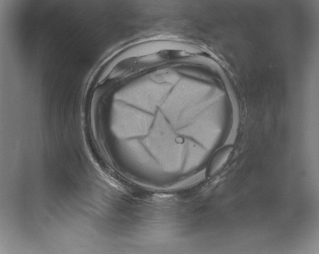 X0000068820055200606021627