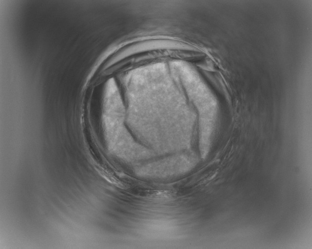 X0000068820056200606021627
