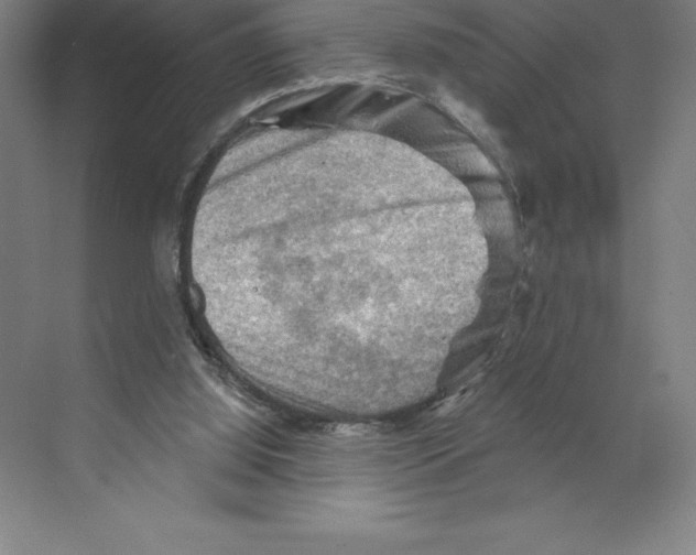 X0000068820060200606021627