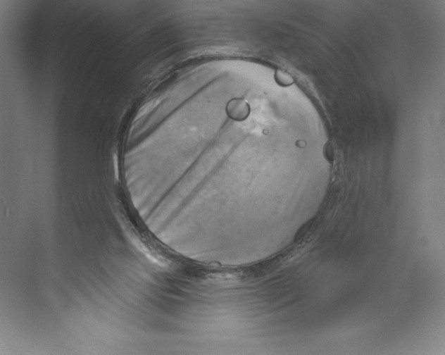 X0000068820061200606021627
