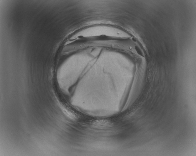 X0000068820063200606021627