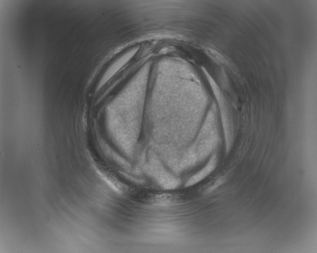 X0000068820064200606021628