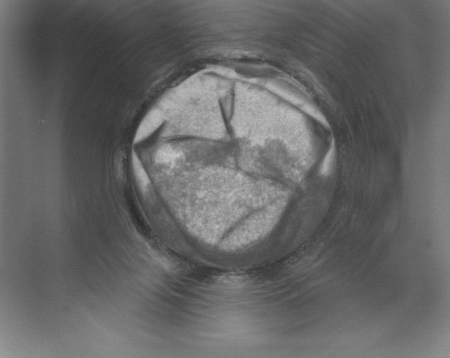 X0000068820071200606021628