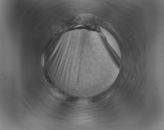 X0000068820076200606021628