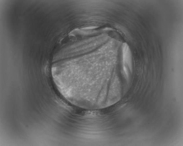 X0000068820077200606021628
