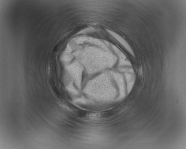 X0000068820084200606021628