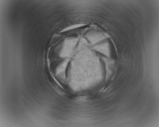 X0000068820086200606021628