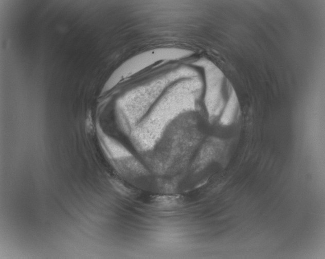 X0000068820089200606021628