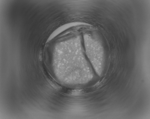X0000068820090200606021628