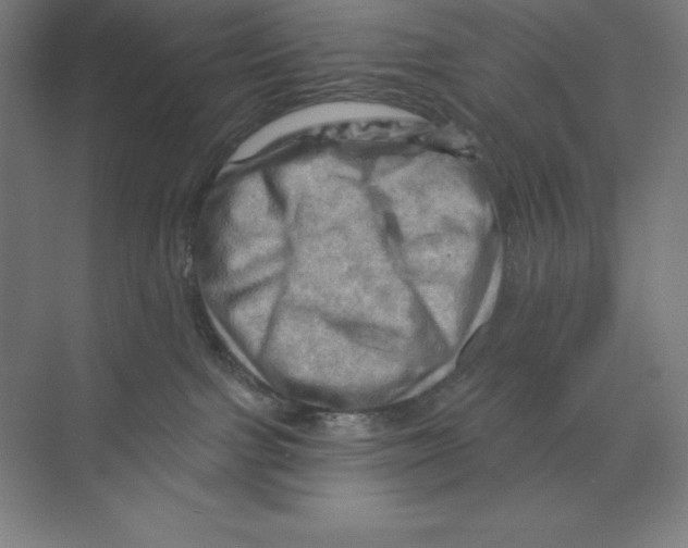 X0000068820091200606021628