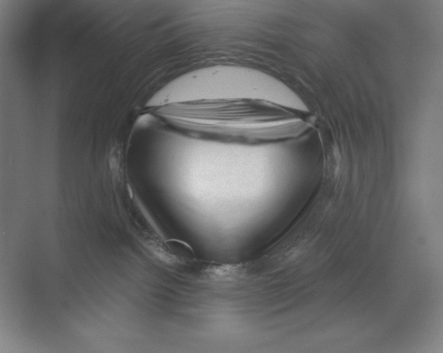 X0000068820092200606021628