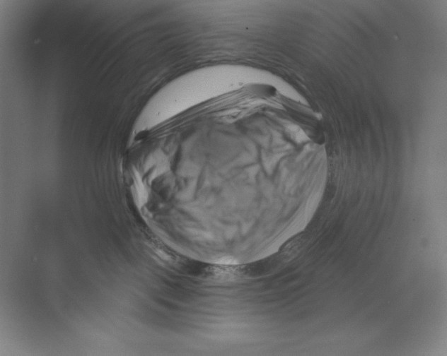 X0000068820093200606021628