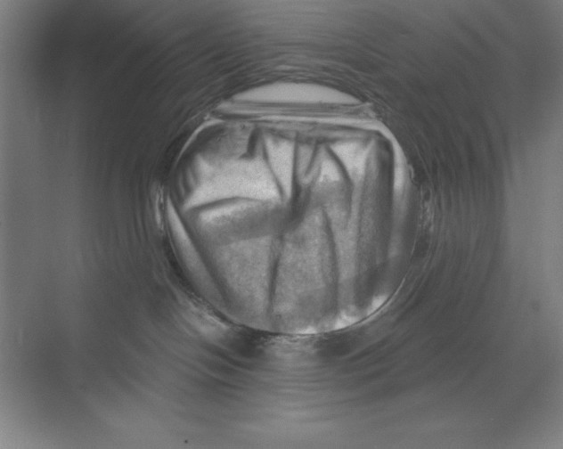 X0000068820094200606021628