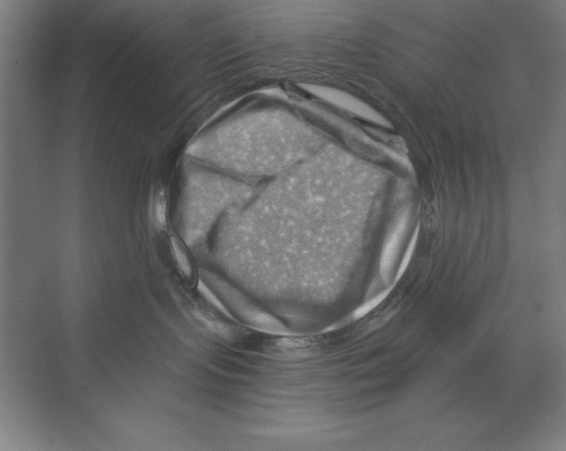 X0000068820095200606021628