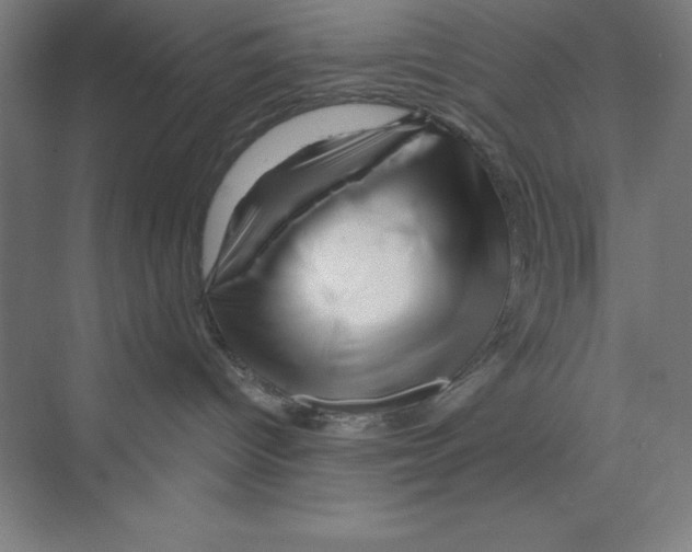 X0000068820096200606021628