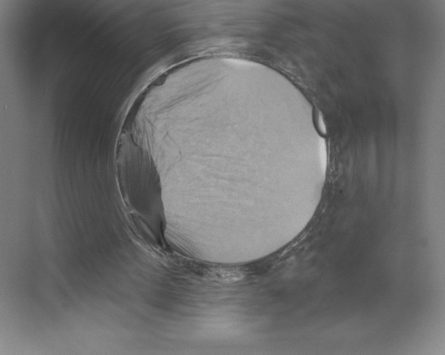 X0000068820099200606021627