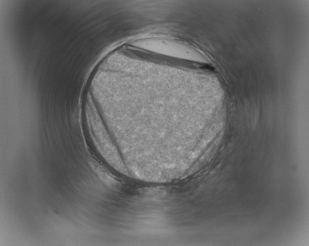 X0000068820100200606021627