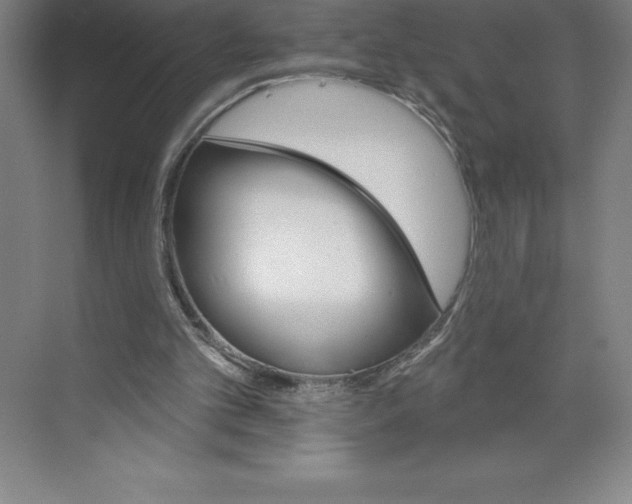 X0000068820101200606021627