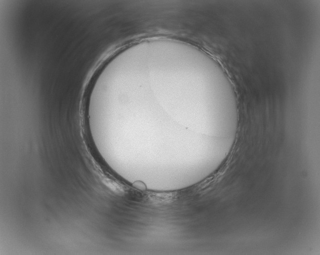 X0000068820102200606021627