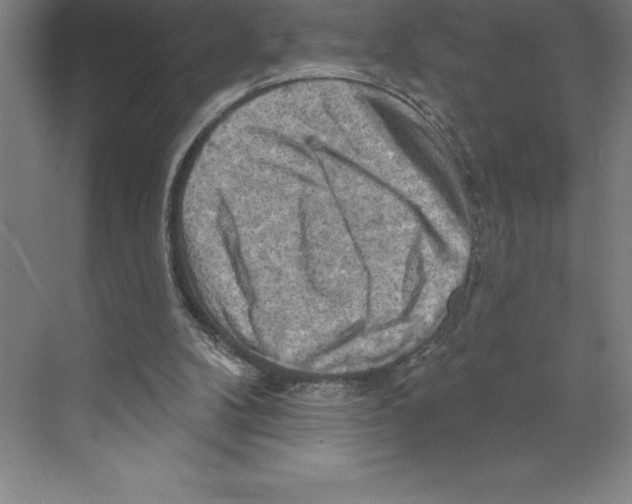 X0000068820104200606021627