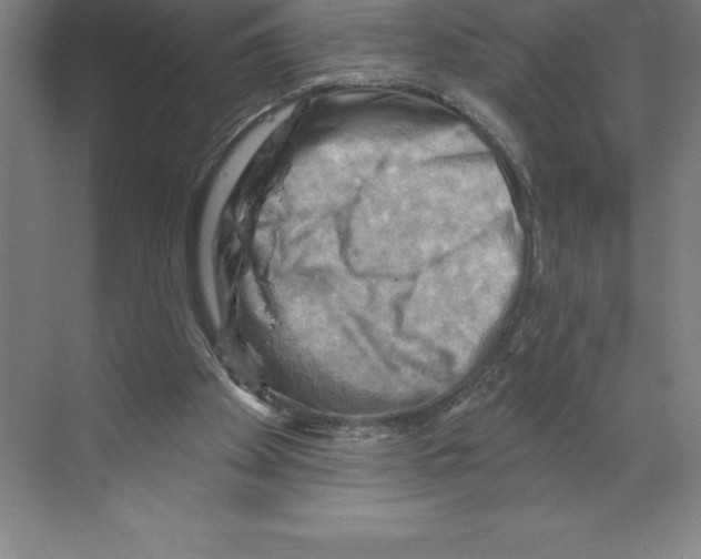 X0000068820105200606021627