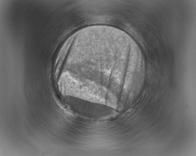 X0000068820107200606021627