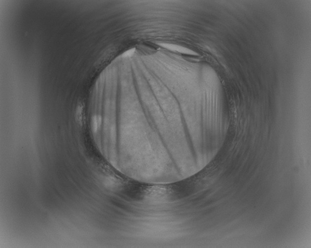 X0000068820123200606021627