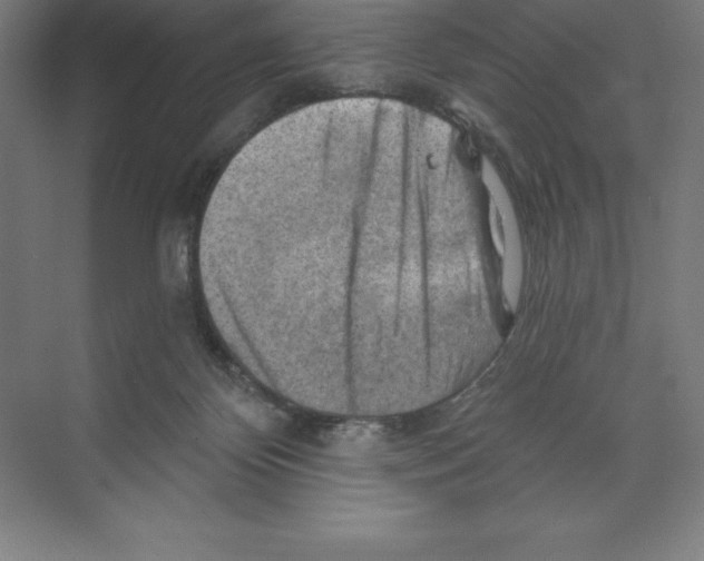 X0000068820124200606021627
