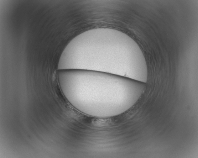 X0000068820129200606021627