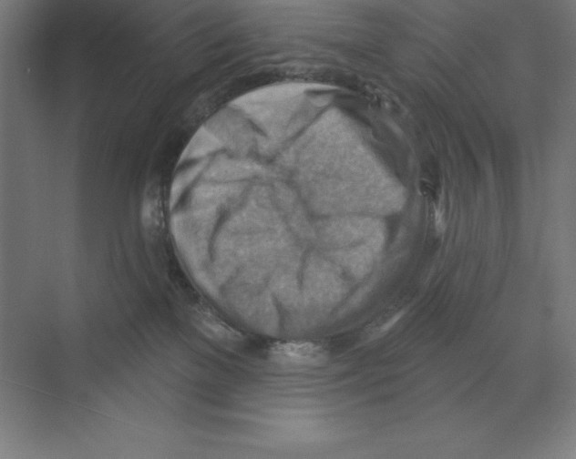X0000068820137200606021627