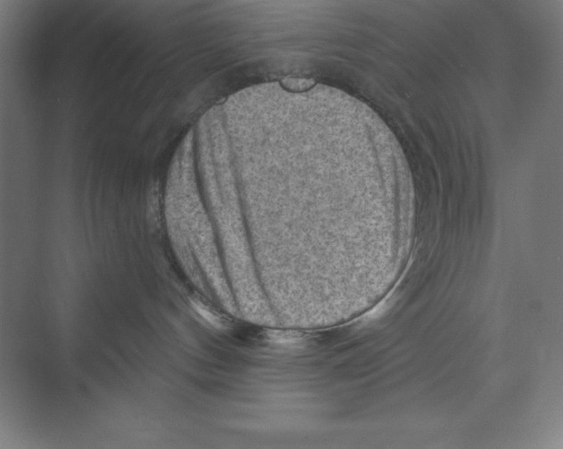 X0000068820144200606021626