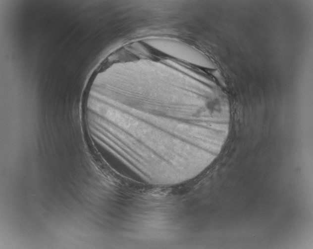 X0000068820148200606021626