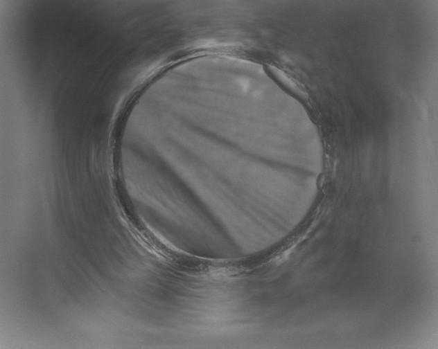 X0000068820149200606021626
