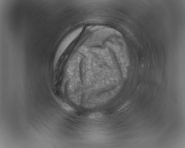 X0000068820168200606021626