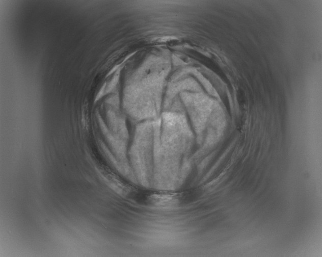 X0000068820170200606021626