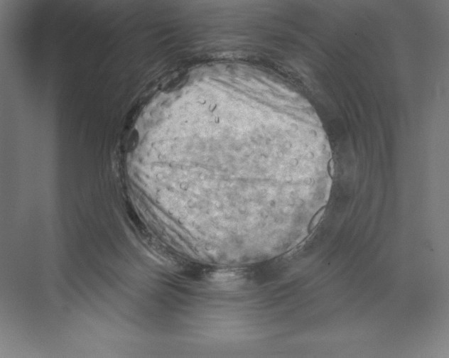 X0000068820171200606021626