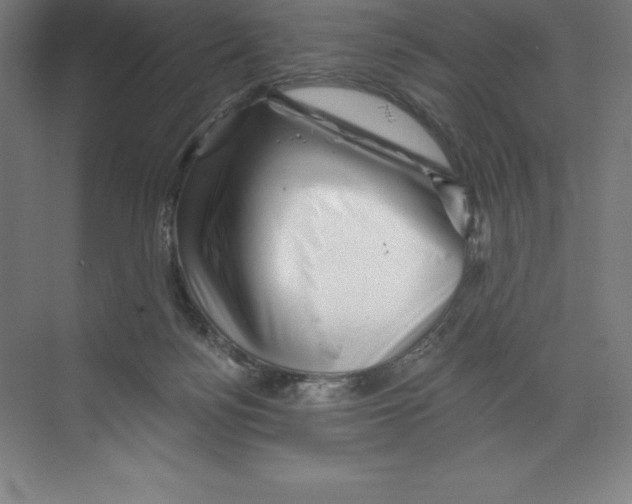 X0000068820172200606021626