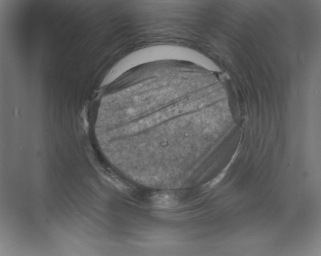 X0000068820174200606021626