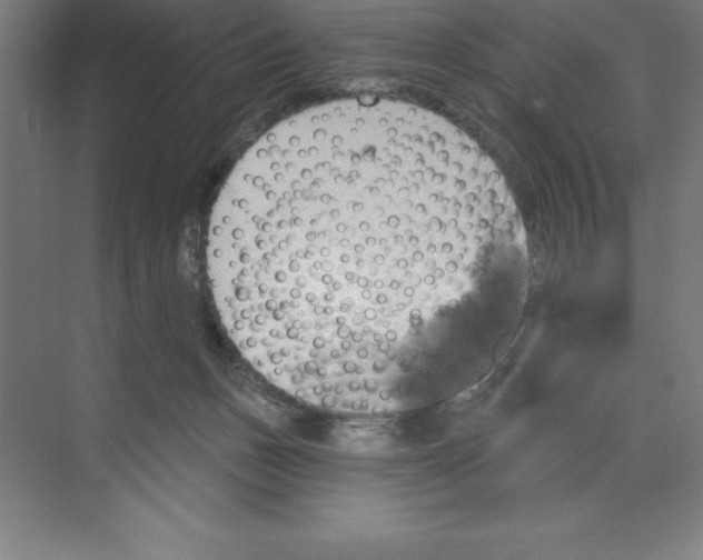 X0000068820175200606021626