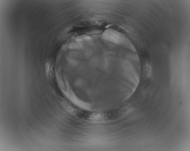 X0000068820177200606021626
