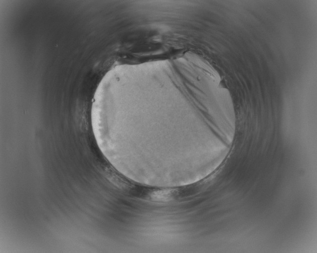 X0000068820178200606021626